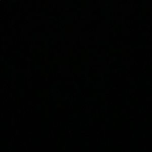 Meet your Posher, Charlotte